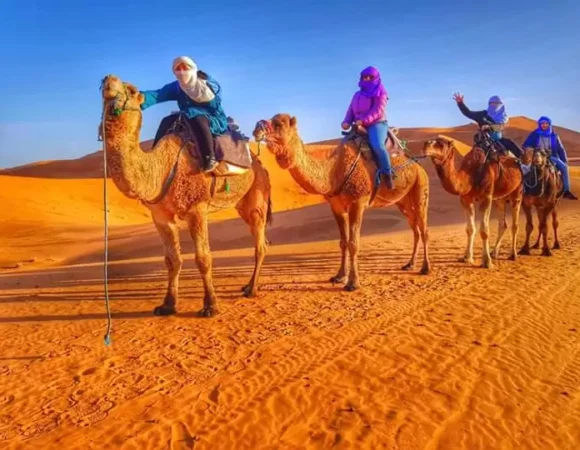 Tour 5 days marrakech to merzouga desert