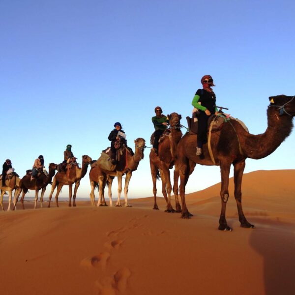 11 Days Morocco Tour From Casablanca