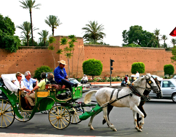 Activity Carriage Ride In All City From Marrakech