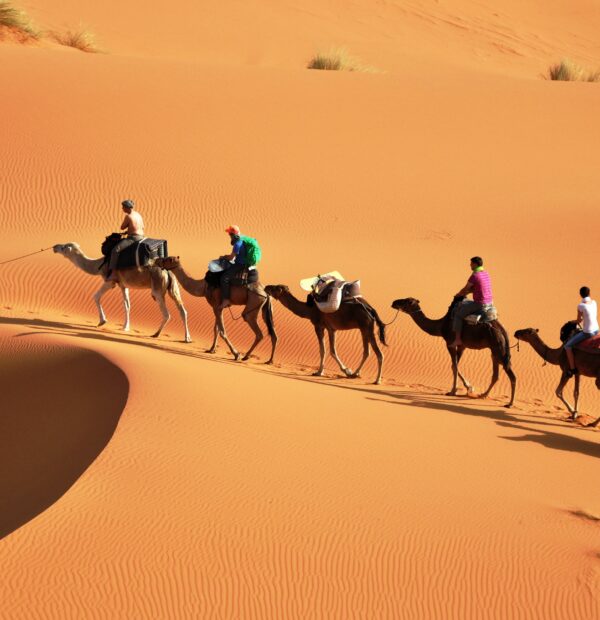 Discovery marrakech