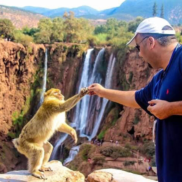 Day Trip To Ouzoud Waterfalls From Marrakech