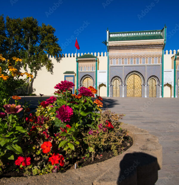 Discovery marrakech