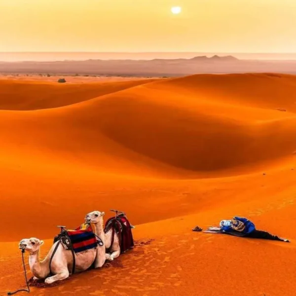 3 Days Erg Chigaga Desert Tour from Marrakech